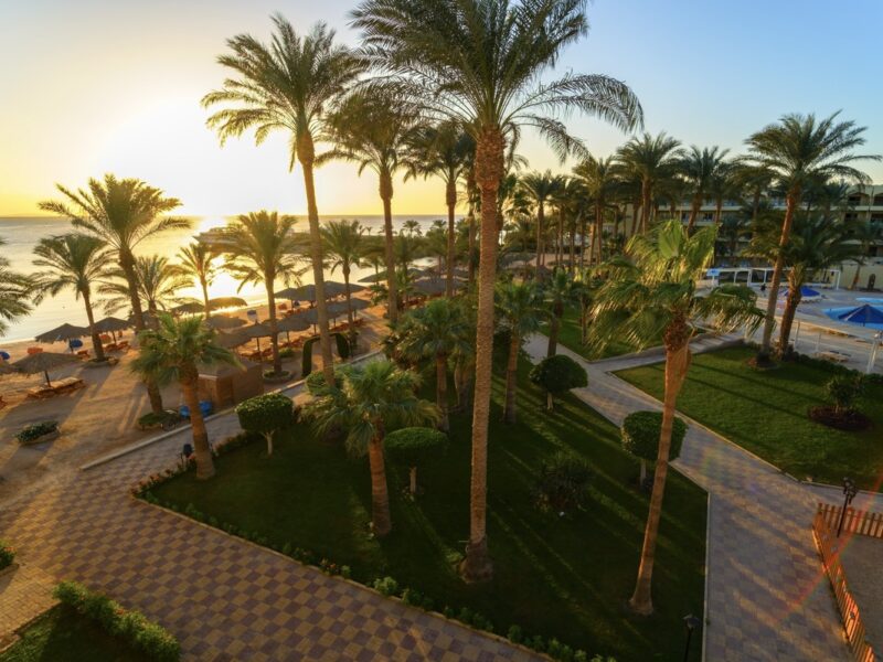 Zya Regina Resort & Aqua Park 4* Єгипет , Хургада
