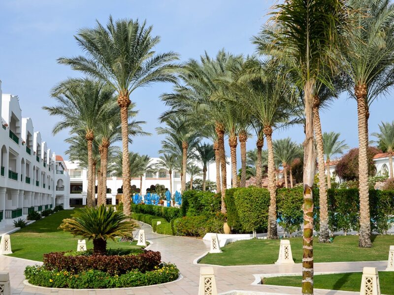 Baron Palms Resort Sharm El Sheikh 5* Єгипет , Шарм