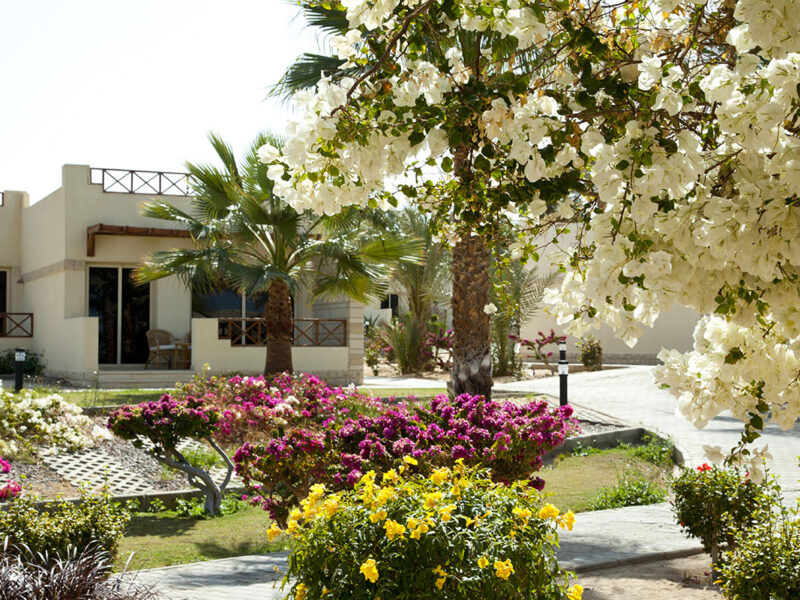 Coral Beach Hurghada 4* Єгипет , Хургада