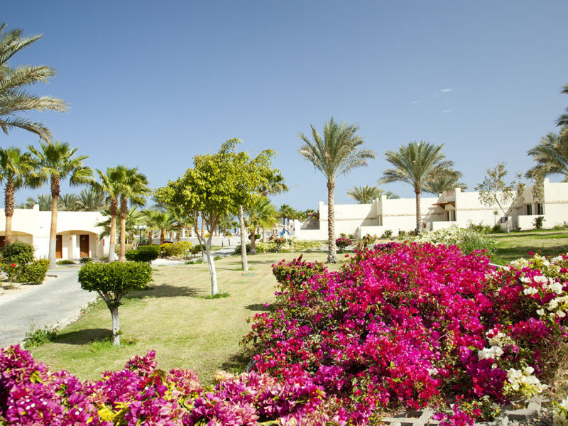 Coral Beach Hurghada 4* Єгипет , Хургада